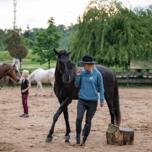 Wild and free -  Freiarbeit mit Pferden